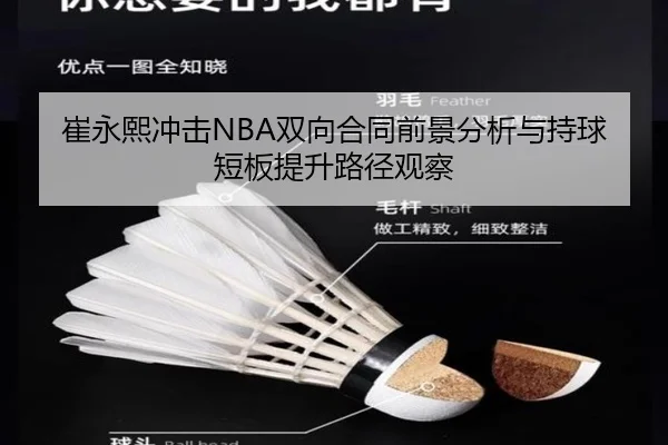 崔永熙冲击NBA双向合同前景分析与持球短板提升路径观察 | PGemulator